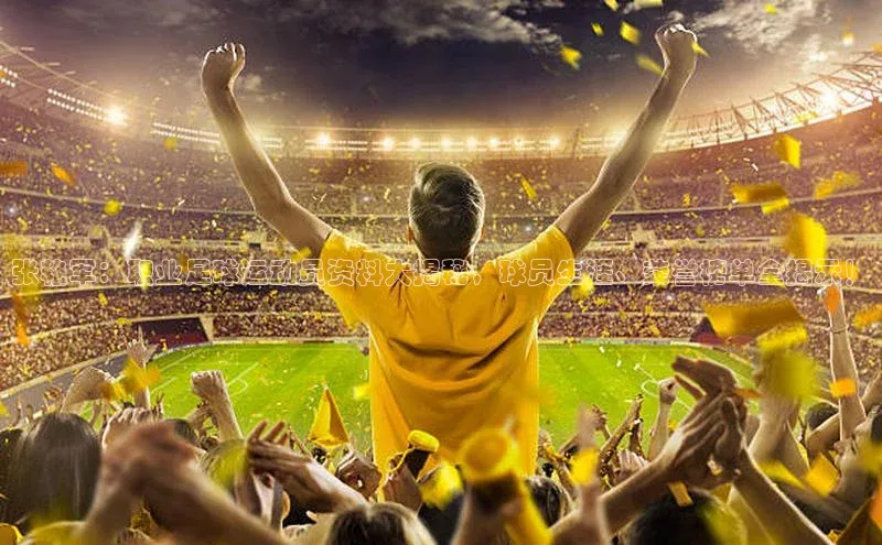 8868官方网站登录入口百度移动开放平台张艳军：职业足球运动员资料大揭秘，球员生涯、荣誉榜单全揭示！