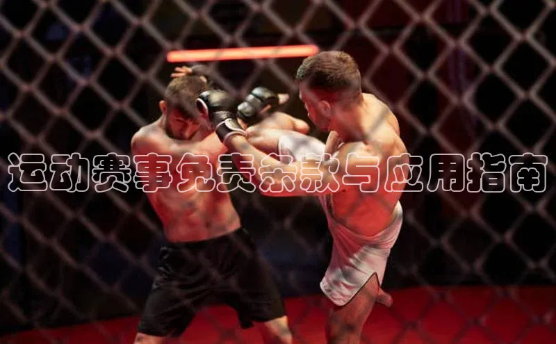 8868体育网页版入口阿里尔公司运动赛事免责条款与应用指南