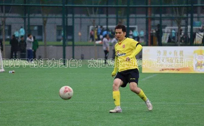 阳光下的活力舞台：太阳岛运动赛事深度与展望
