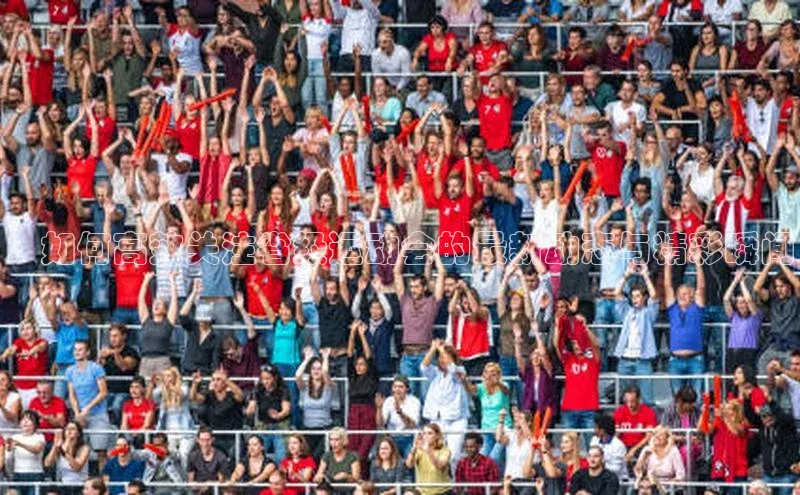 ：如何高效关注省级运动会的最新动态与精彩瞬间