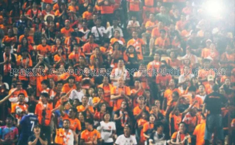 超越极限：回顾2018年扬马赛事的壮丽旅程与激动人心的挑战