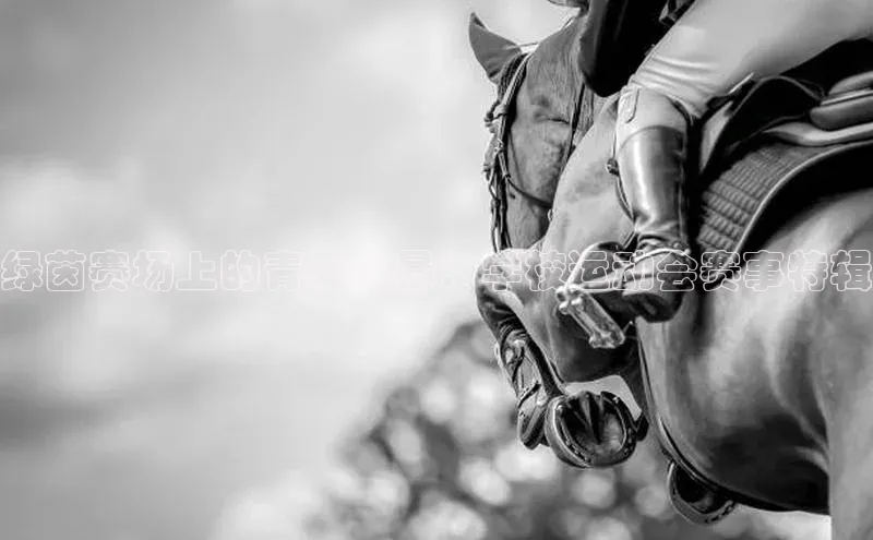 绿茵赛场上的青春风暴：学校运动会赛事特辑