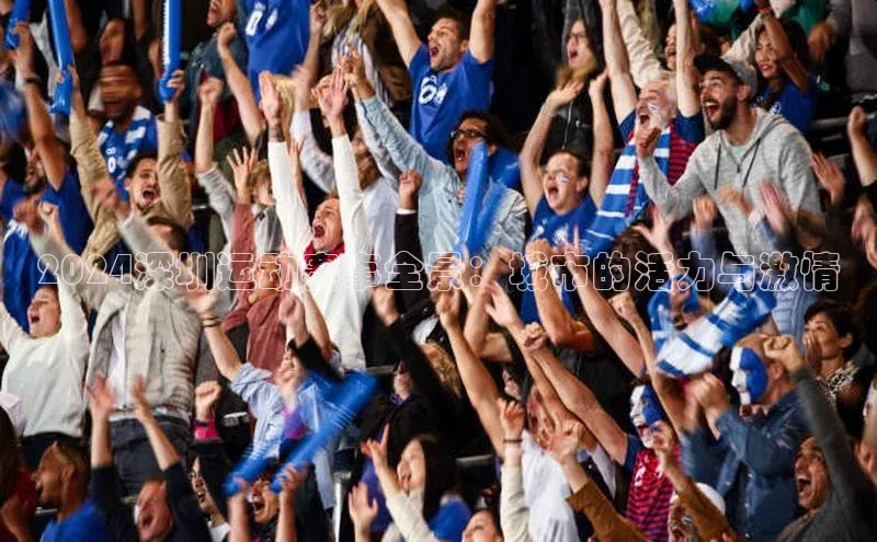 2024深圳运动赛事全景：城市的活力与激情