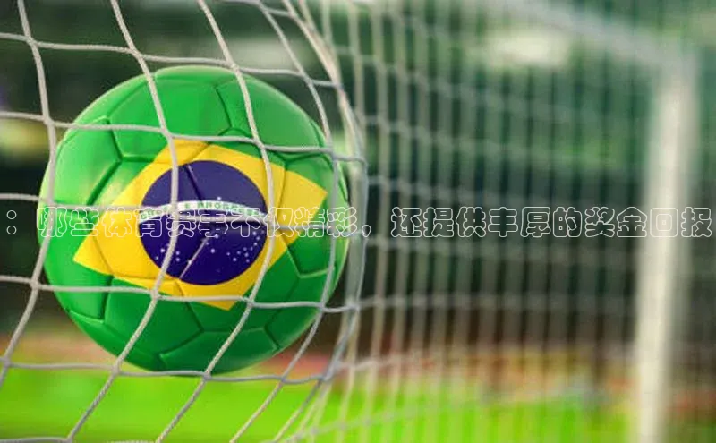 ：哪些体育赛事不仅精彩，还提供丰厚的奖金回报