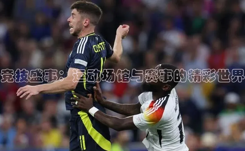 竞技盛事：运动场馆与赛事的精彩世界