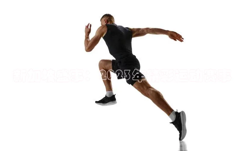 新加坡盛事：2023年精彩运动赛事