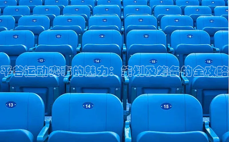 平谷运动赛事的魅力：策划及筹备的全攻略