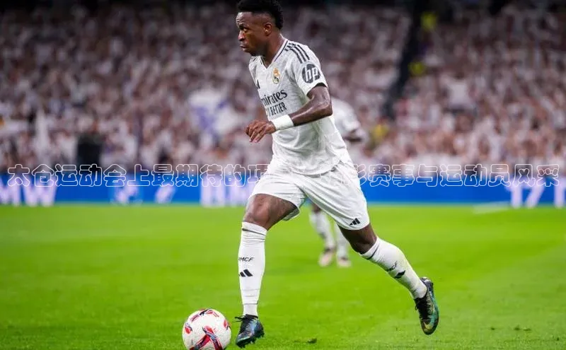 太仓运动会上最期待的项目：精彩赛事与运动员风采