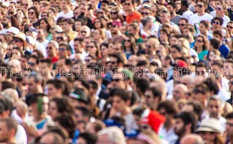 超越极限：顶级运动训练裤的革命性设计与功效