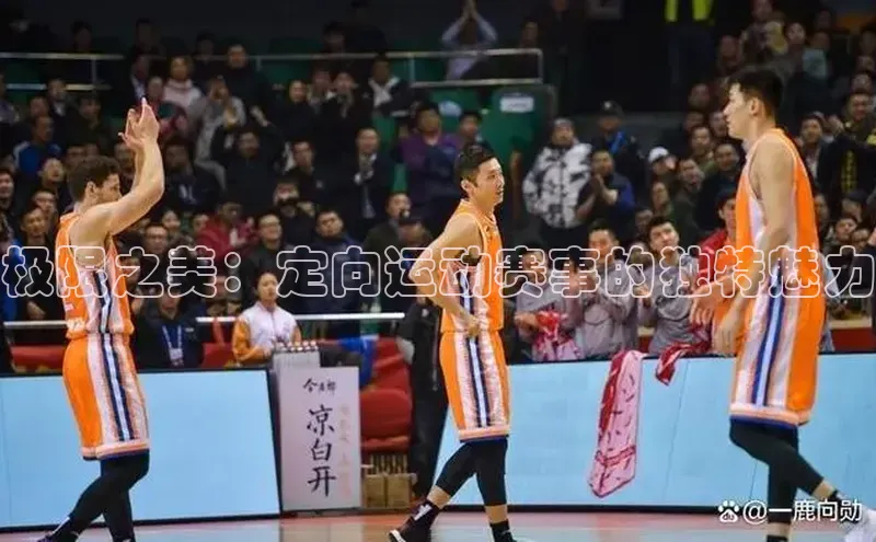 极限之美：定向运动赛事的独特魅力