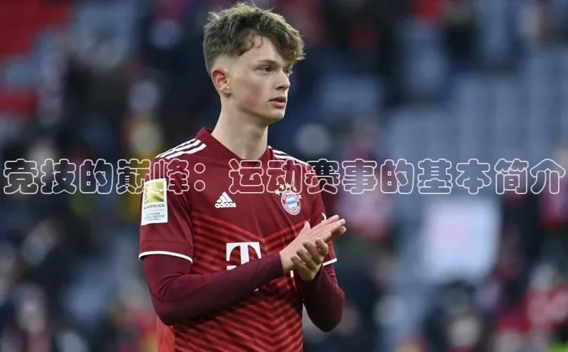 竞技的巅峰：运动赛事的基本简介