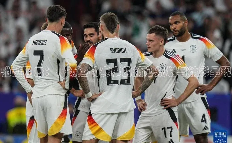 驰越风云：一场运动赛事的精心规划与精彩呈现