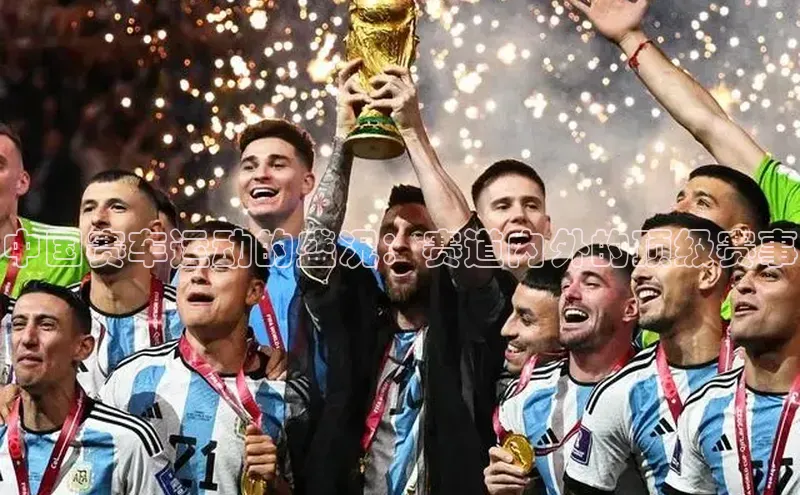 8688体育官方入口