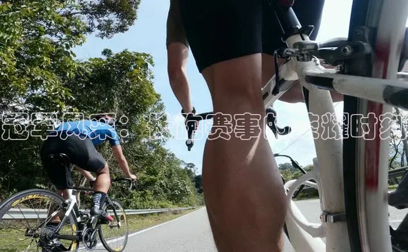 8868体育在线官网