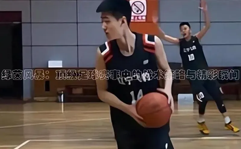 8868体育手机版登录入口