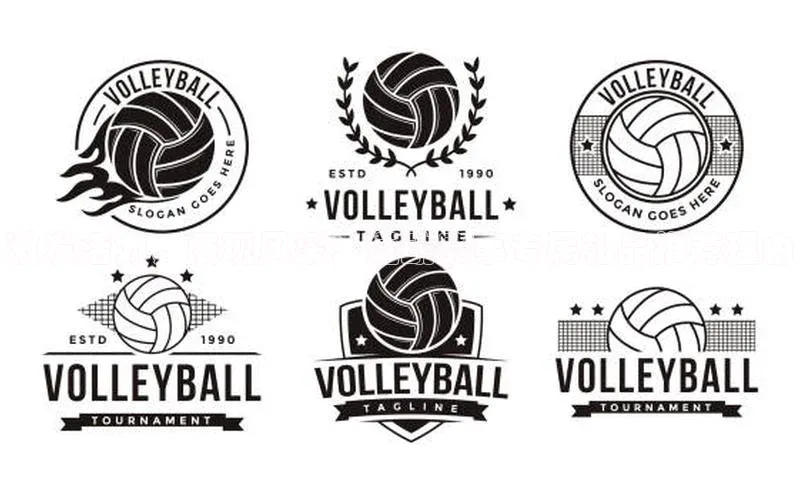 8868体育网站入口手机版