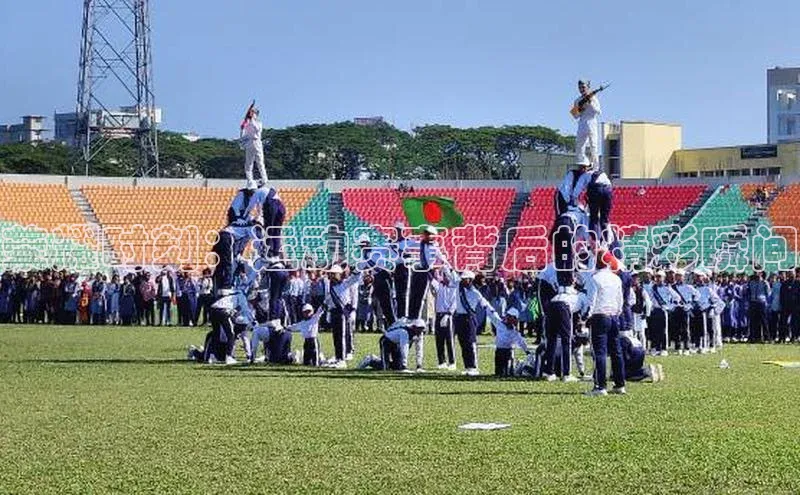 8868体育官方入口