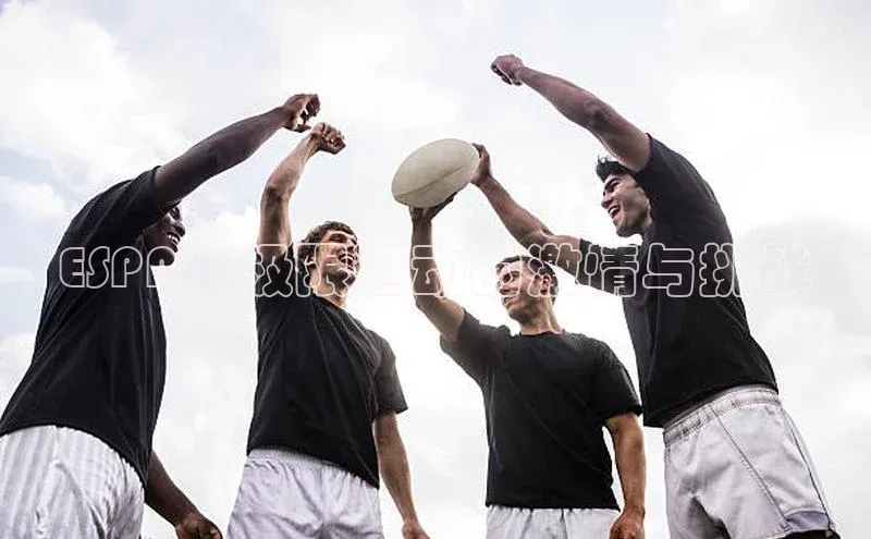 8868体育官网入口地址