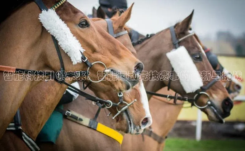 智能科技引领未来：智能运动竞技赛事的创新与挑战