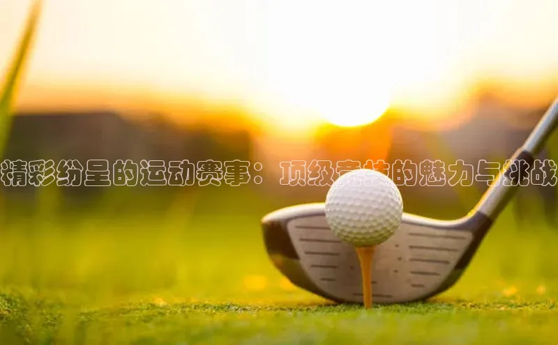 8688体育官方入口